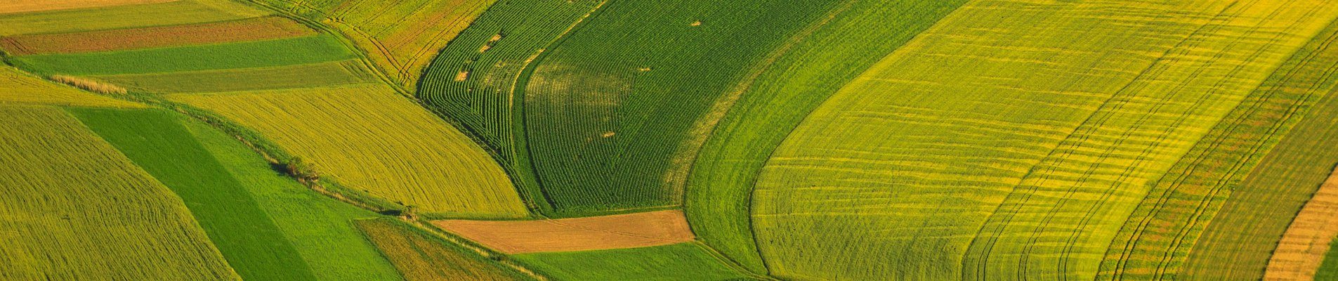 Успял български фермер обработва 4500 декара земя