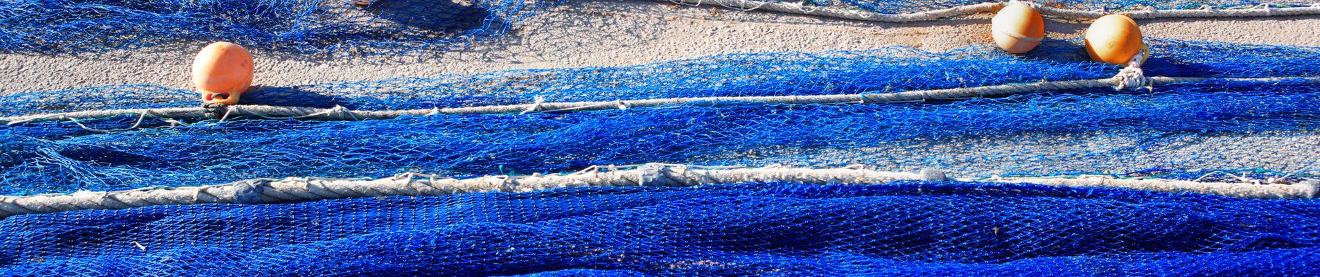 Собственик на малък рибен магазин отваря модерен цех за преработка на риба