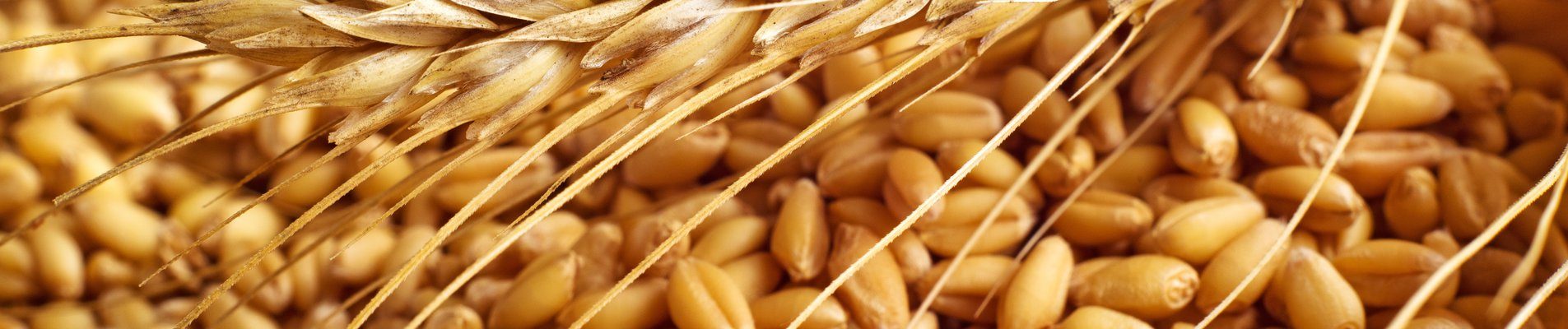 Млад фермер без кредитна история купува трактор и започва да се занимава със земеделие