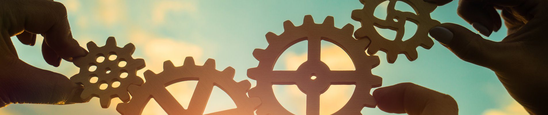 Успешни проекти