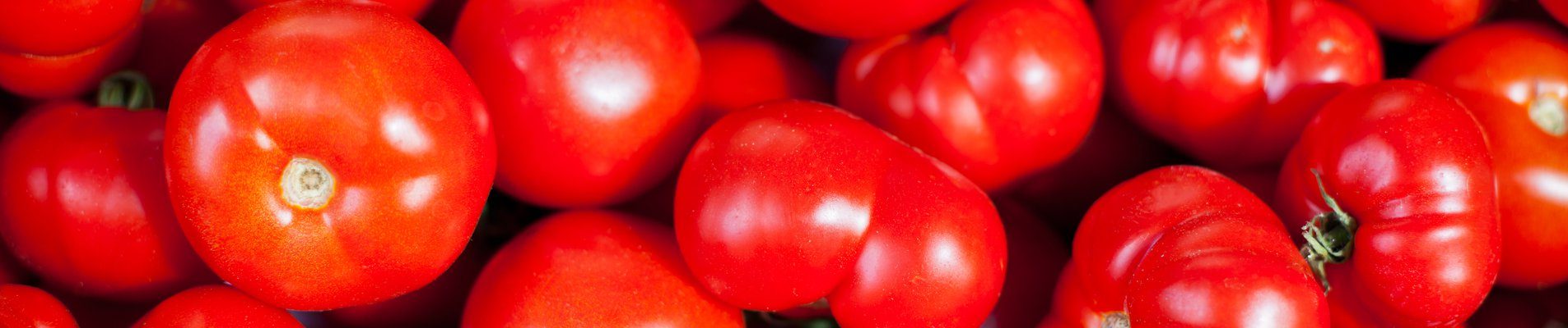 Италианец отглежда домати в България