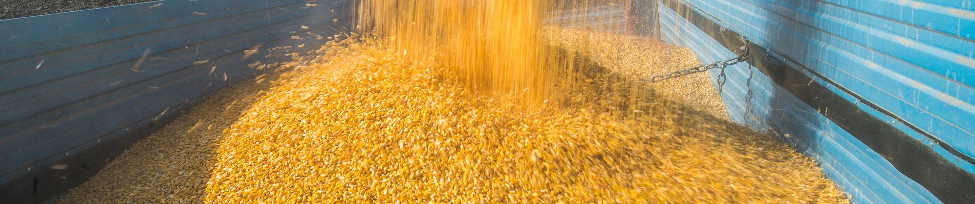 Инженер остава без работа и отваря своя мелница в село Бохот