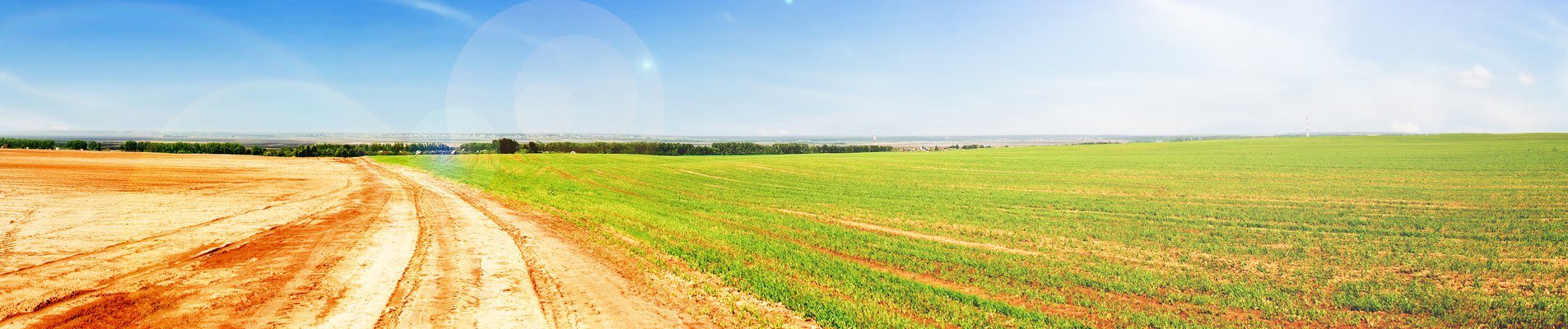 Гаранционна схема с МЗХ